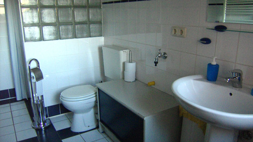 Ferienhaus Dusche