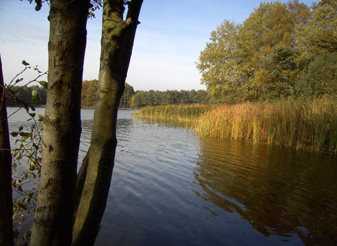 Badestelle Neuenkirchener See
